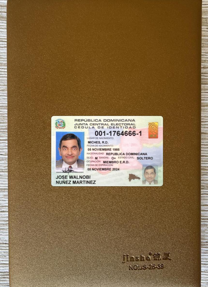 Realistic Dominican Republic ID card photolook sample